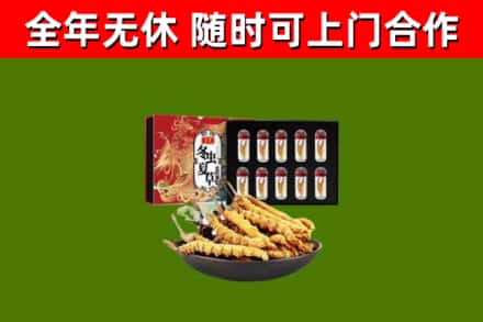 白山烟酒回收冬虫夏草礼盒.jpg